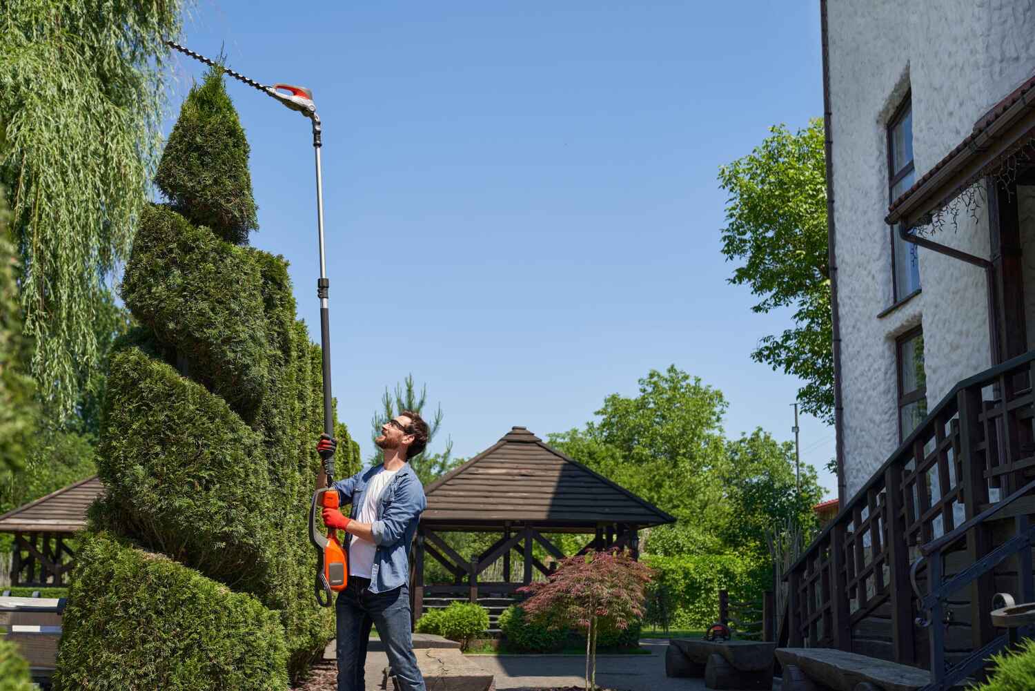 Best Tree Trimming Near Me  in Holmes Beach, FL